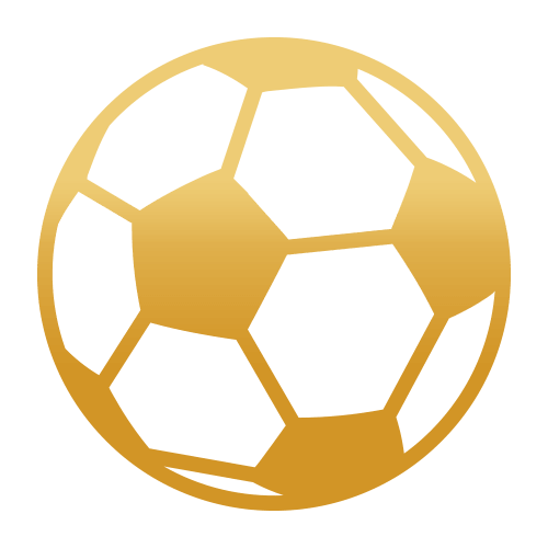 Pelota icon